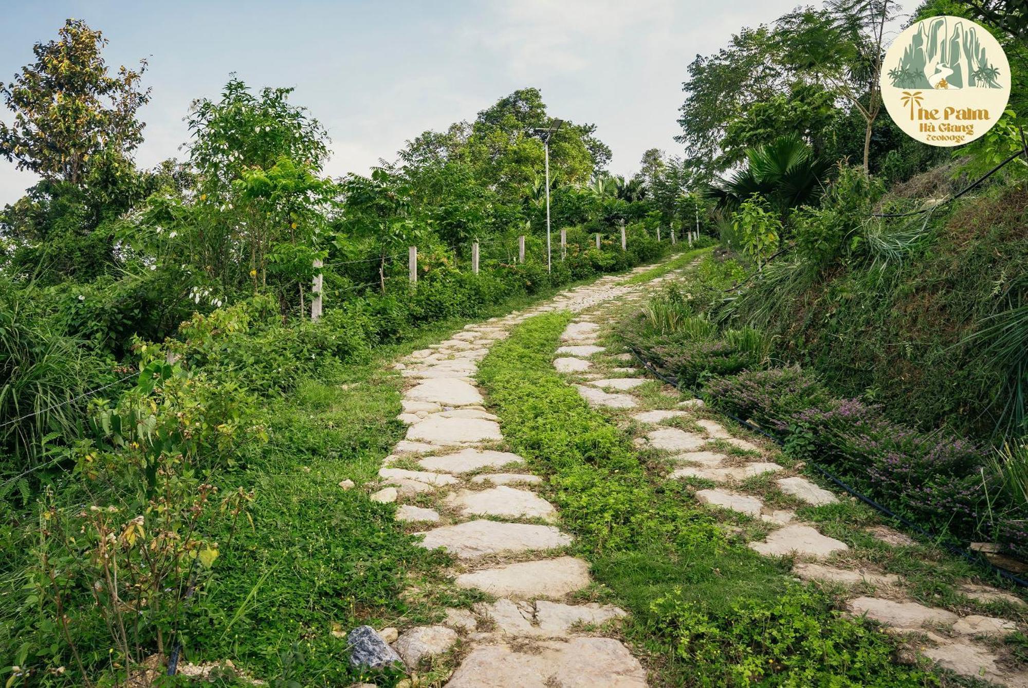 Tvpalm Ecolodge Ha Giang Esterno foto