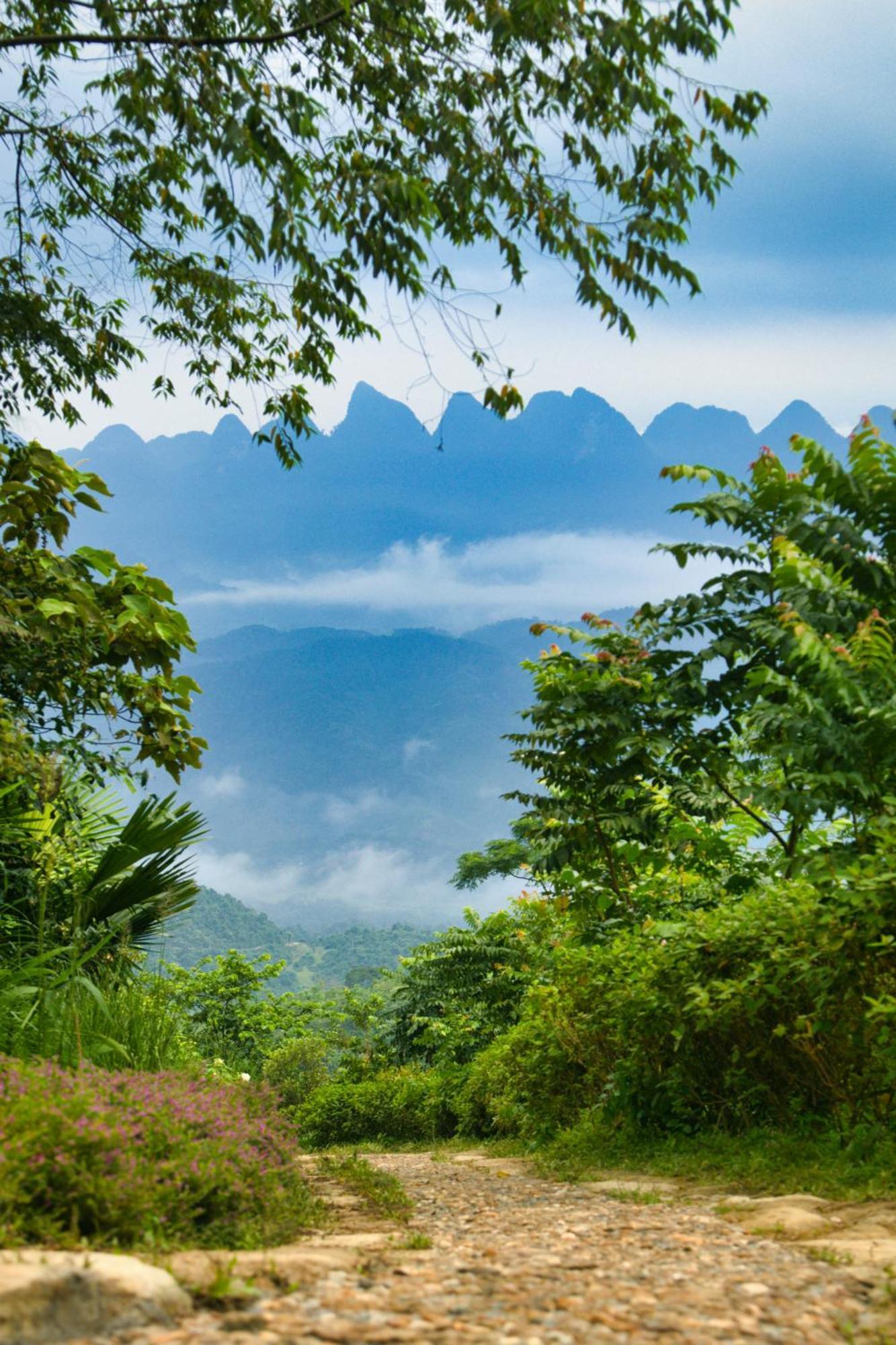 Tvpalm Ecolodge Ha Giang Esterno foto