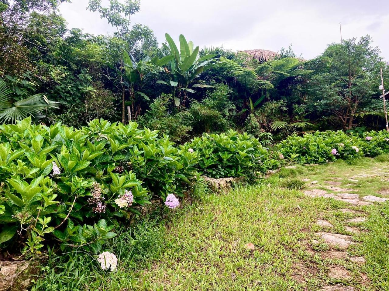 Tvpalm Ecolodge Ha Giang Esterno foto