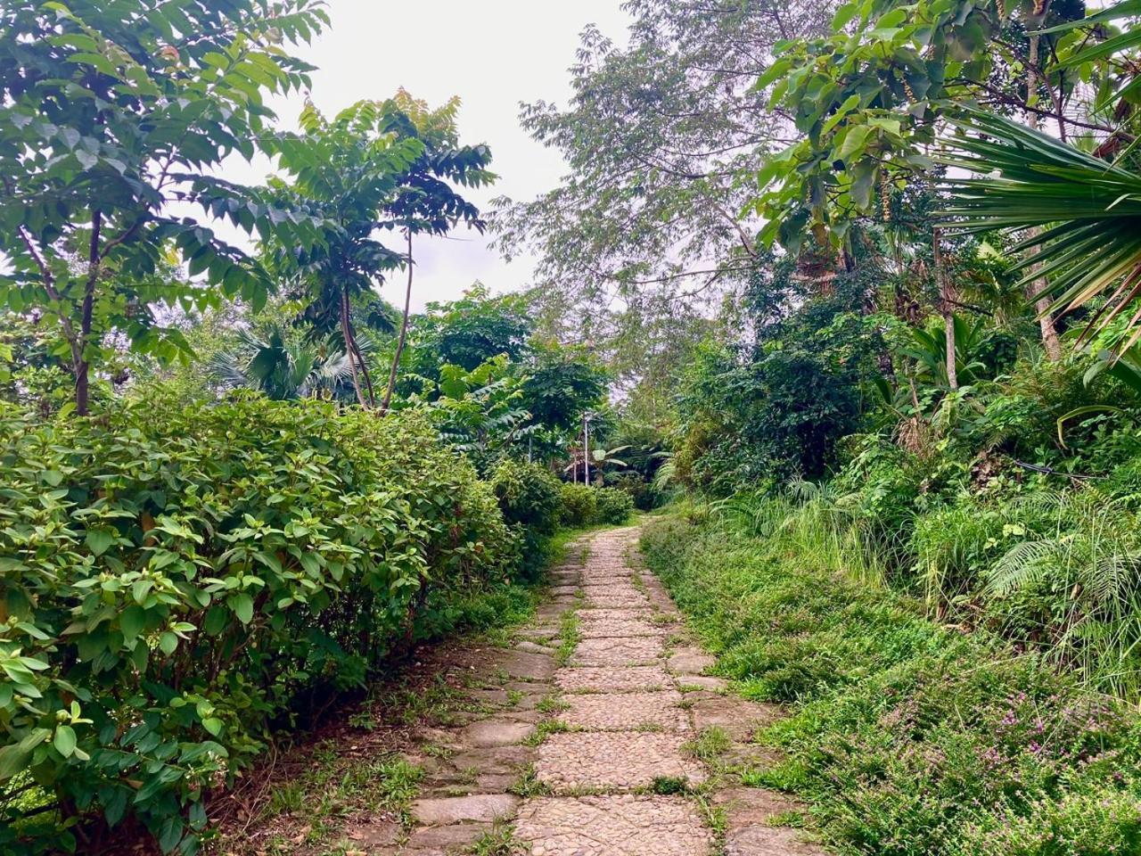 Tvpalm Ecolodge Ha Giang Esterno foto