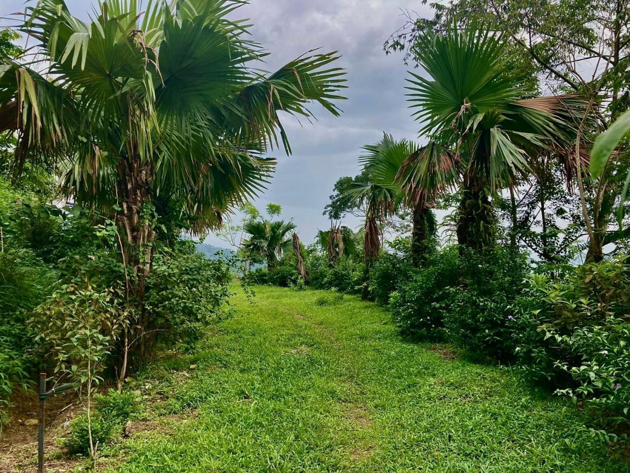 Tvpalm Ecolodge Ha Giang Esterno foto