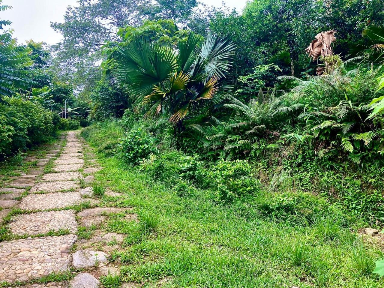 Tvpalm Ecolodge Ha Giang Esterno foto